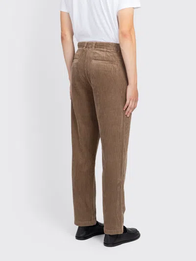 Minimum Bratis Chino In Brown