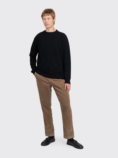 Minimum Bratis Chino In Brown