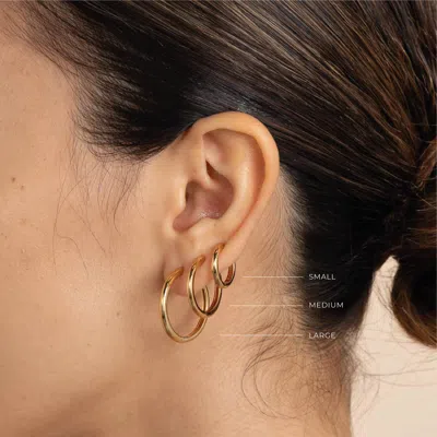 Astrid & Miyu Essential Medium Hoops