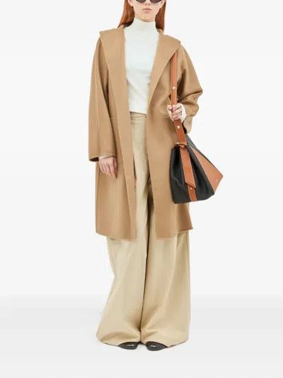 Max Mara Logo-detail Leather Triangular Shoulder Bag In Brown