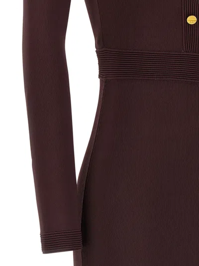 Elisabetta Franchi 'red Carpet' Dress In Brown