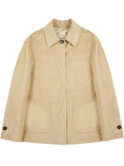 Montedoro Blazer Clothing In Neutral