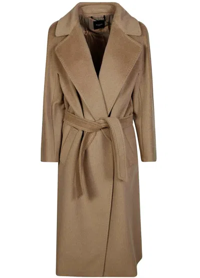 Weekend Max Mara Coats In Brown