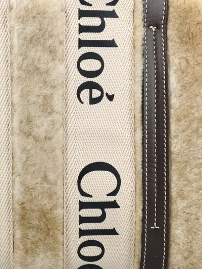Chloé Small Woody Tote Bag In Shearling In Brown