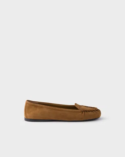 Prada Suede Loafers In Brown