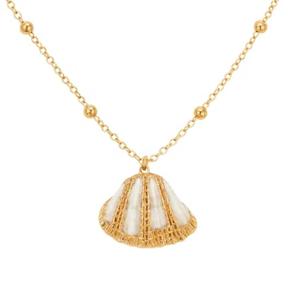 My Little Nature Women's White Natural Seshell Necklace With Gold Plated Chain In White