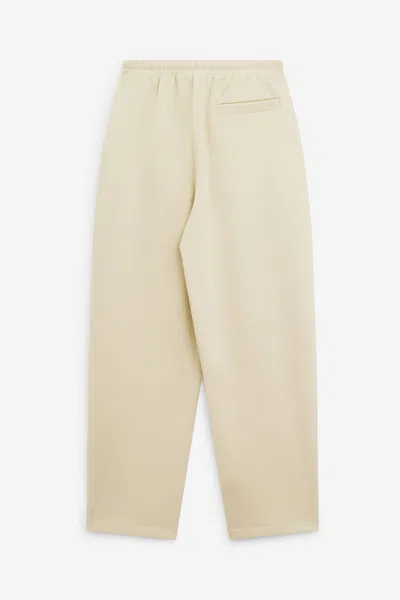 Sportmax Lord Pants In Brown