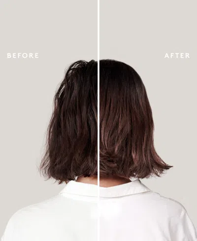 Virtue Full Holiday Professional Size Duo In Transparent