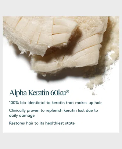 Virtue Full Holiday Professional Size Duo In Transparent