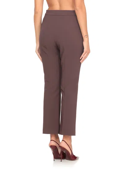 Elisabetta Franchi Cropped Brown Straight-leg Trousers With High Waist In Multi