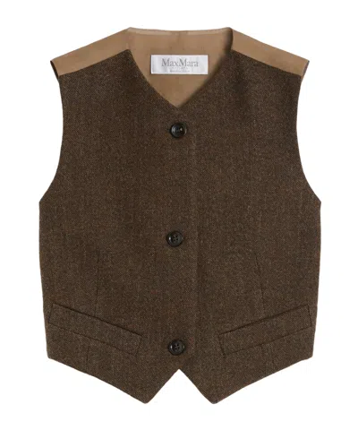 Max Mara Sleeveless Wool Felt Vest In Brown
