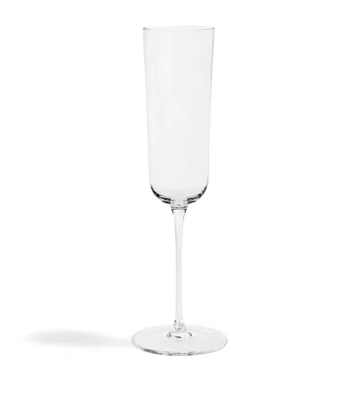 Richard Brendon Set Of 2 Classic Champagne Flutes In Transparent