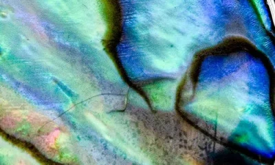 Samuel B. Sterling Silver Shell Teardrop Pendant In Silver