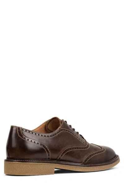 Donald Pliner Keelan Wingtip Oxford In Brown