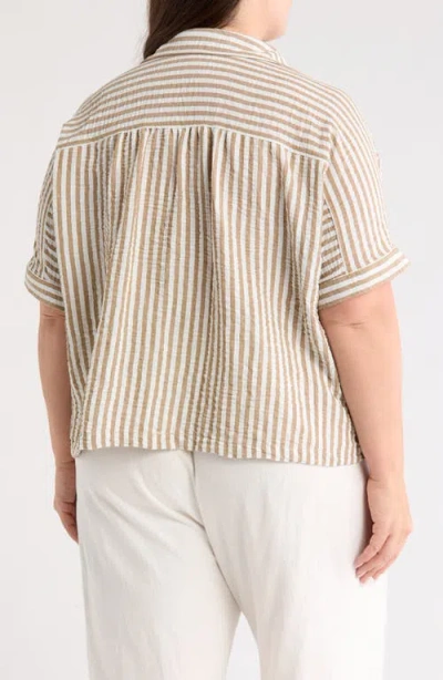 Max Studio Stripe Short Sleeve Textured Button-up Shirt In Neutral
