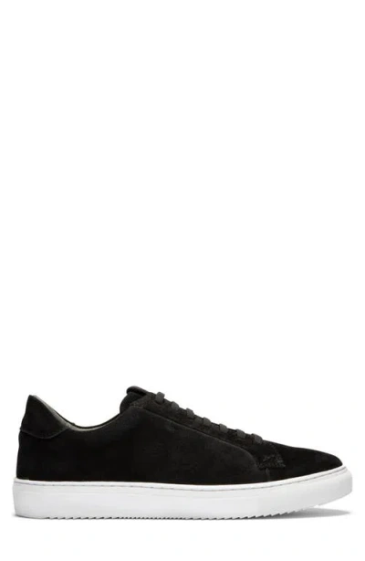Gernie Elastic Lace Leather Sneaker In Black