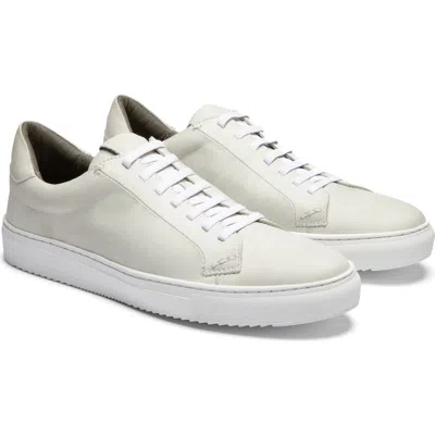 Gernie Elastic Lace Leather Sneaker In White