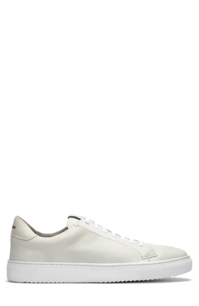 Gernie Elastic Lace Leather Sneaker In White