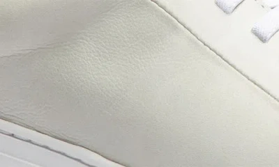 Gernie Elastic Lace Leather Sneaker In White