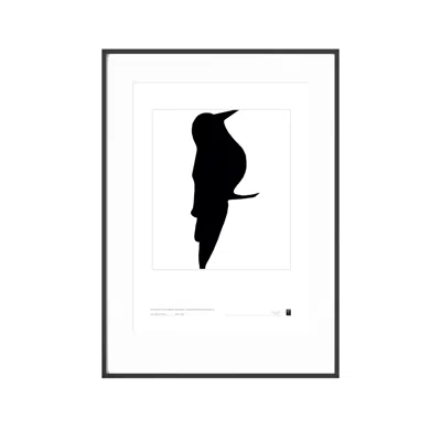 Curiosity Snug Black / White Abstract Bird Series - Woodpecker Smile - Black In Multi