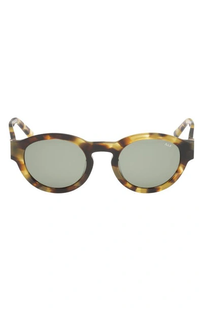 Abercrombie & Fitch 49mm Round Sunglasses In Neutral