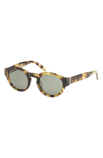 Abercrombie & Fitch 49mm Round Sunglasses In Neutral