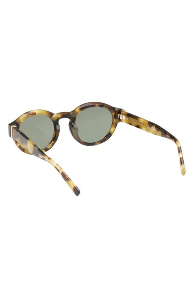 Abercrombie & Fitch 49mm Round Sunglasses In Neutral