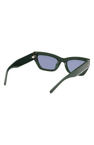 Abercrombie & Fitch 52mm Cat Eye Sunglasses In Neutral