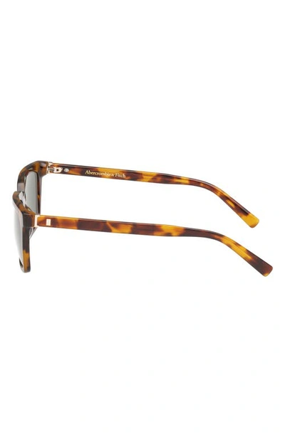 Abercrombie & Fitch 52mm Rectangular Sunglasses In Green