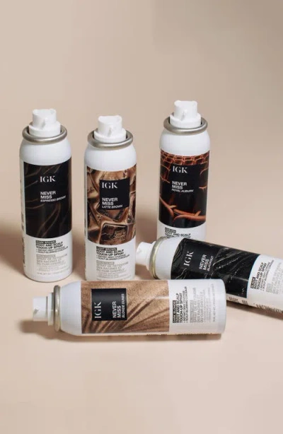 Igk Never Miss Root And Scalp Touch-up Spray - Royal Auburn In Brown