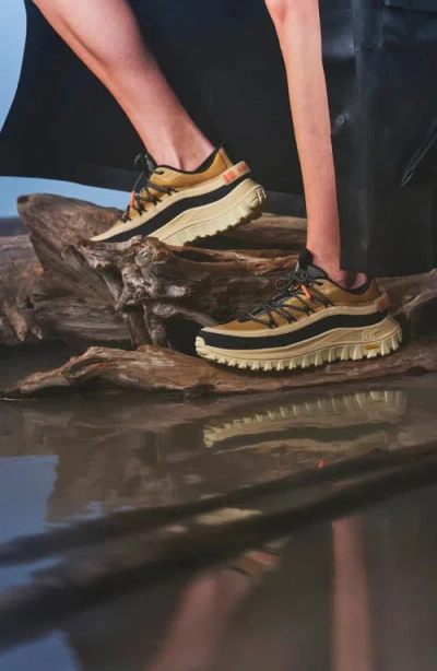 Sorel Lace-up Logo Patch Sneakers In Multi