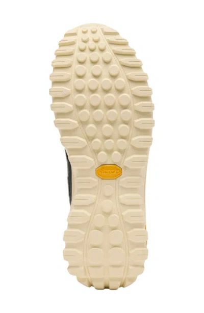 Sorel Lace-up Logo Patch Sneakers In Multi