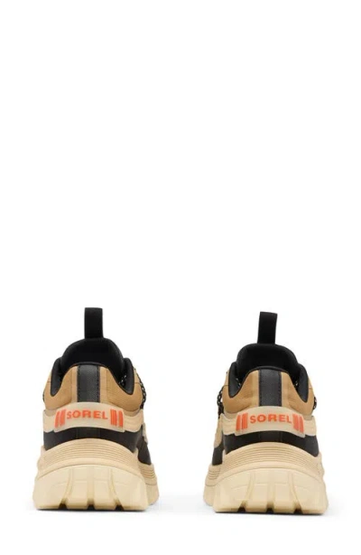 Sorel Lace-up Logo Patch Sneakers In Multi