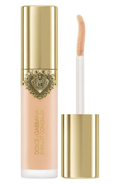 Dolce & Gabbana Dolce&gabbana Everlast Concealer In Transparent