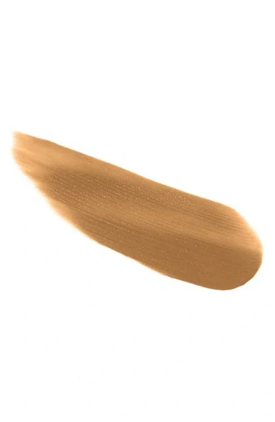 Dolce & Gabbana Dolce&gabbana Everlast Concealer In Brown
