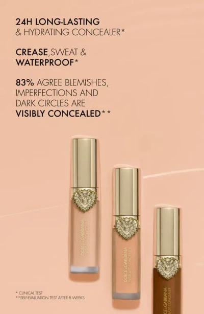 Dolce & Gabbana Dolce&gabbana Everlast Concealer In Brown