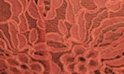 Savage X Fenty Romantic Corded Lace Brazilian Panties In Red