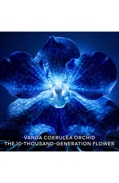 Guerlain Orchidee Imperiale The Longevity Cream Refill 1.6 Oz.