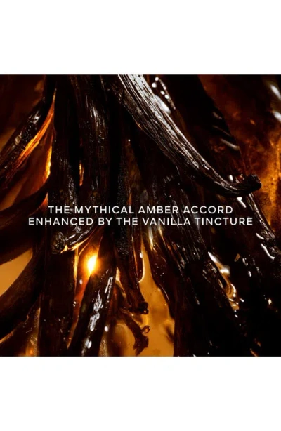 Guerlain Shalimar Lessence Eau De Parfum Intense Fragrance Collection In Transparent