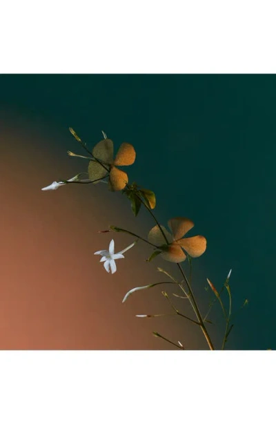 Penhaligon's A Kiss Of Bliss Eau De Parfum In Transparent