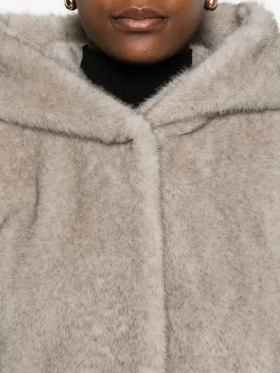 Antonelli Kapuzenjacke Mit Elastischem Saum In Brown