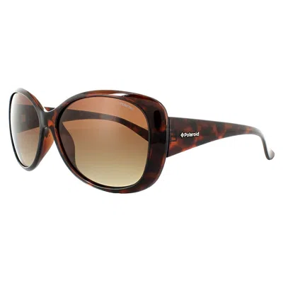 Polaroid Pld 8317 0bm La Womens Butterfly Sunglasses In Brown