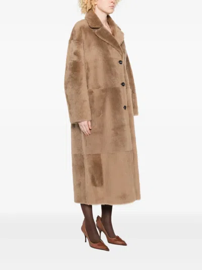 Furling By Giani Women's Coats In Brown