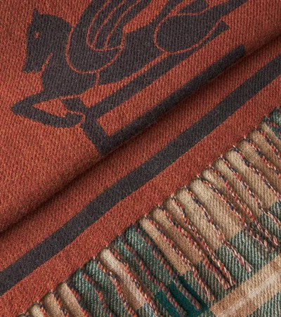 Etro Wool Throw In Brown