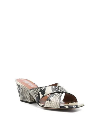Paris Texas Arizona Snake-embossed Leather Mule Sandals In Multi