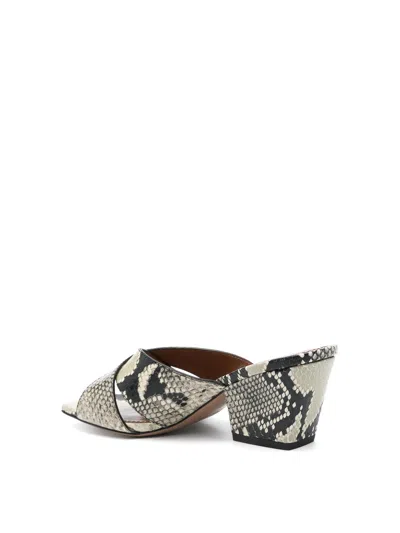 Paris Texas Arizona Snake-embossed Leather Mule Sandals In Multi