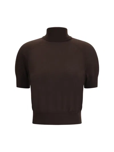 Petar Petrov Short-sleeve Turtleneck Top In Brown