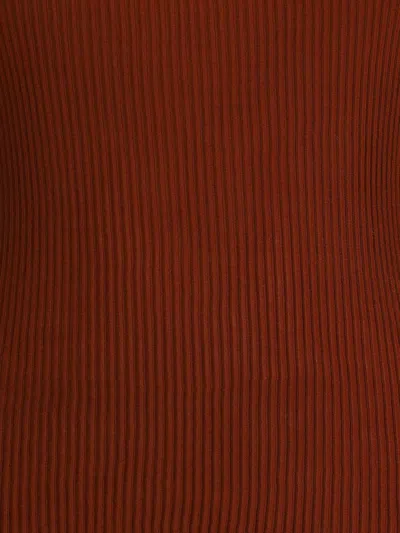 Petar Petrov Ribbed Fitted Top In Brown