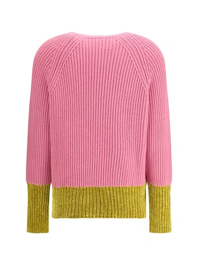 Marni Crewneck Hood Kangaroo Pocket Long Sleeves Ribbed Cuffs In Pink