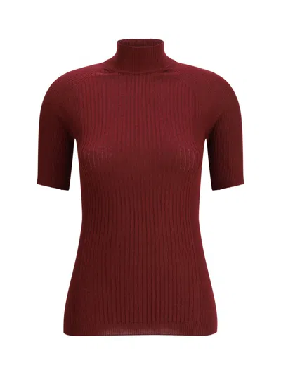 Sa Su Phi Ribbed Knit Top In Red